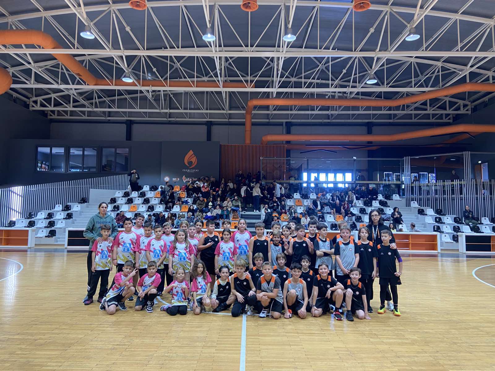 promitheas krestena filika